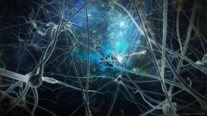 neurons